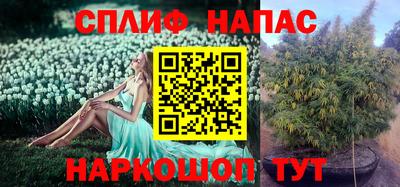кокс Кинель