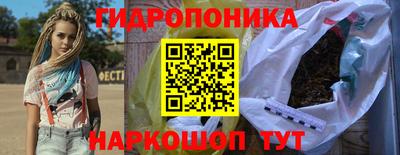 ГАЛЛЮЦИНОГЕННЫЕ ГРИБЫ Кингисепп