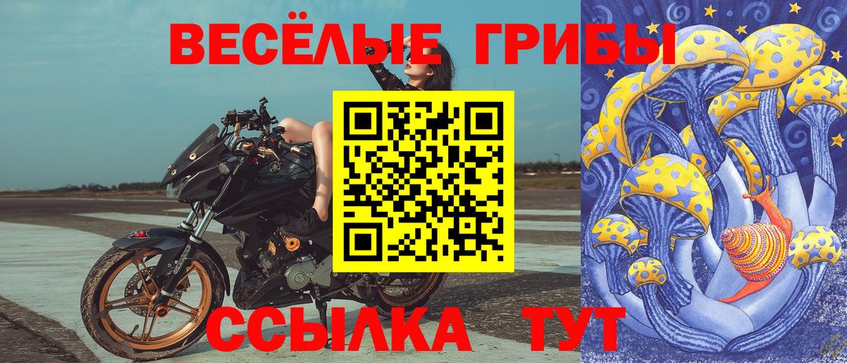 Псилоцибиновые грибы Magic Shrooms  Вход с VPN  Кемерово 