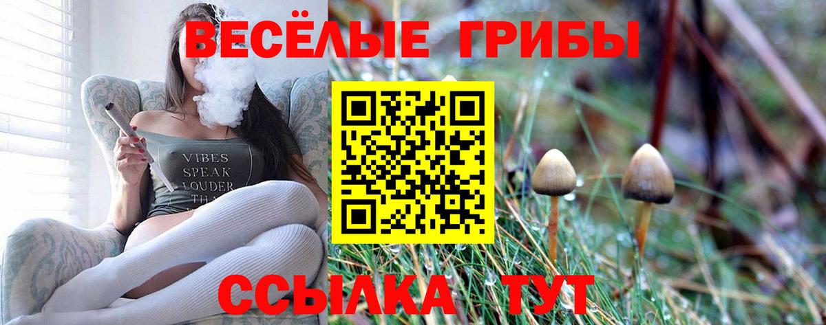 Псилоцибиновые грибы мицелий Кемерово